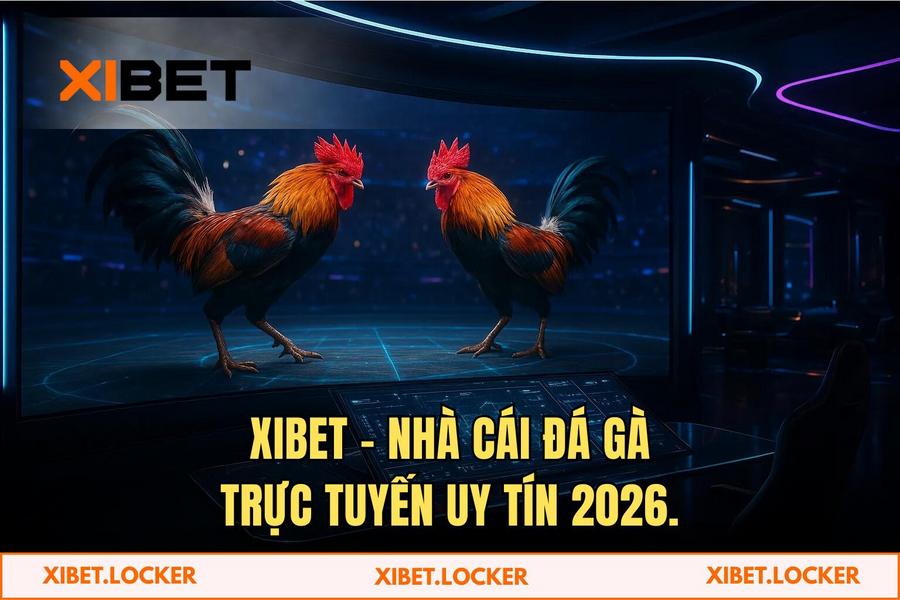 Tại sao XIBET là sự lựa chọn số 1 của cộng đồng đam mê đá gà trực tuyến 2026