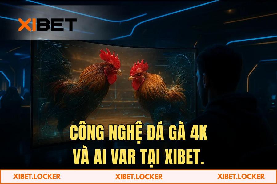 Công nghệ truyền hình trực tiếp 4K và hệ thống AI VAR giám sát trận đấu tại XIBET
