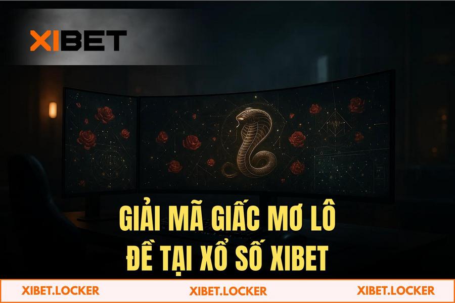 Giải mã điềm báo: Tìm kiếm con số may mắn từ 'Xổ Số XIBET' theo chuyên gia